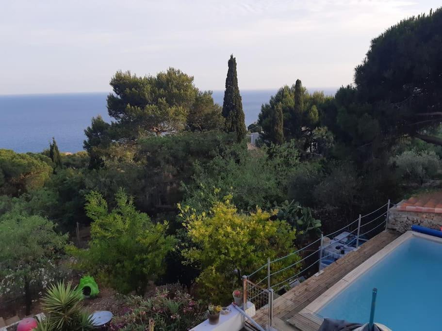 Haut De Villa Au Mont St Clair Vue Exceptionnelle Mer Et Foret Terrasses, Piscine, Petanque, Solarium Prives Sète Kültér fotó